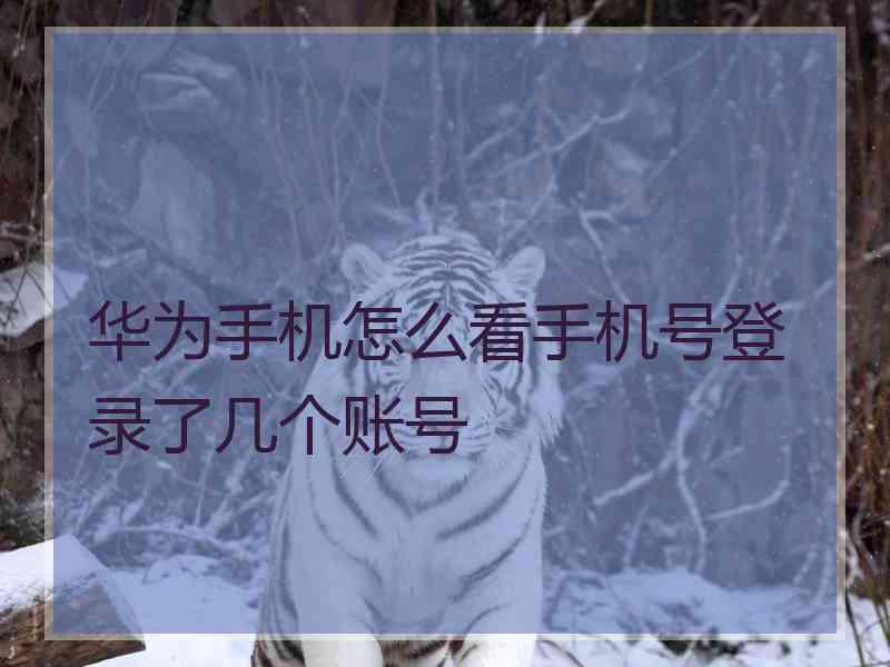华为手机怎么看手机号登录了几个账号