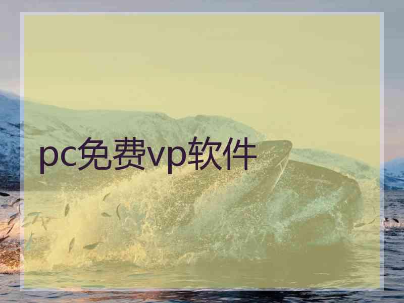 pc免费vp软件