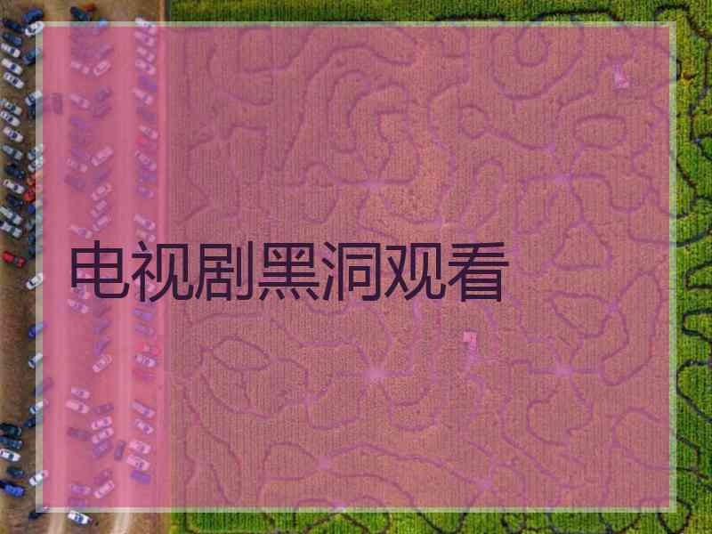 电视剧黑洞观看