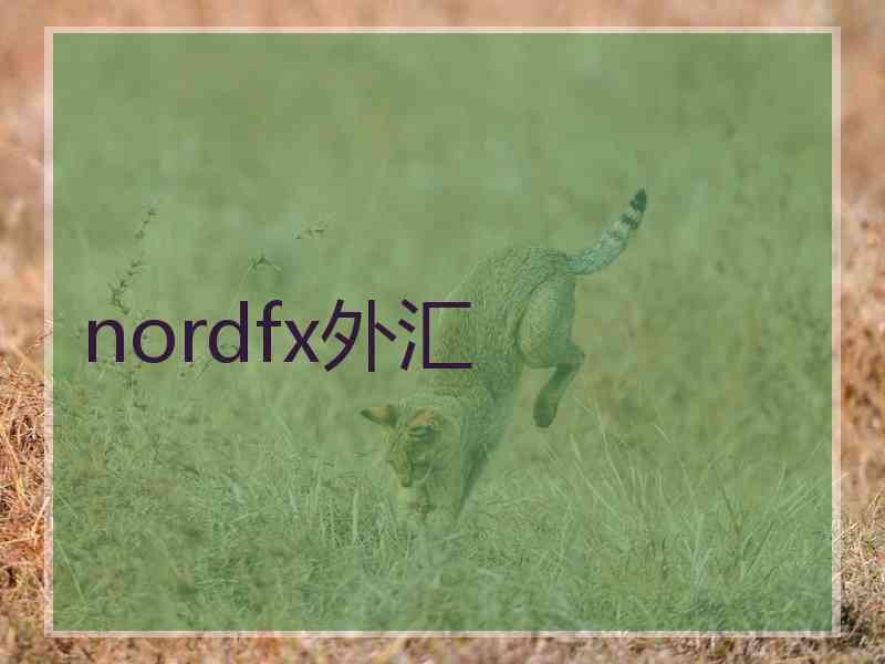 nordfx外汇
