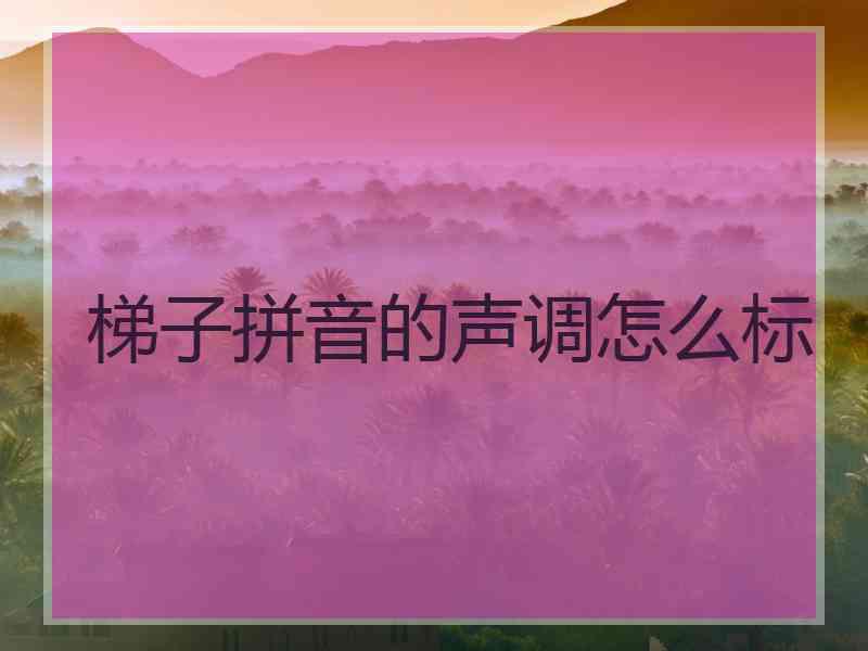 梯子拼音的声调怎么标