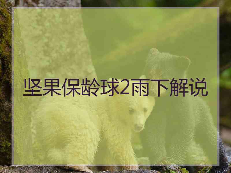 坚果保龄球2雨下解说