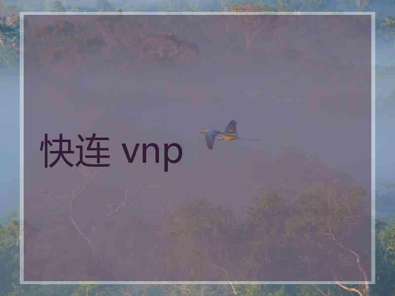 快连 vnp