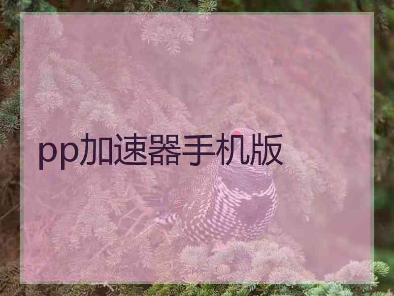 pp加速器手机版