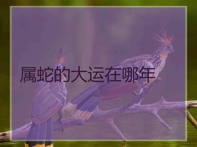 属蛇的大运在哪年