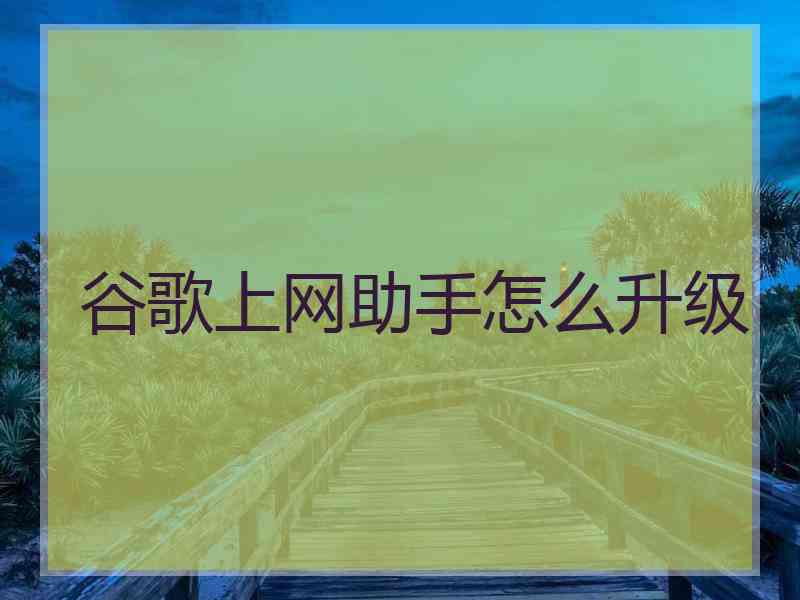 谷歌上网助手怎么升级
