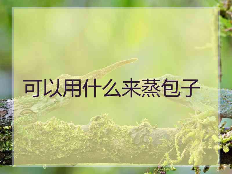 可以用什么来蒸包子
