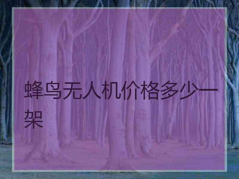 蜂鸟无人机价格多少一架