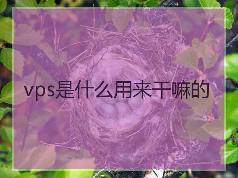vps是什么用来干嘛的