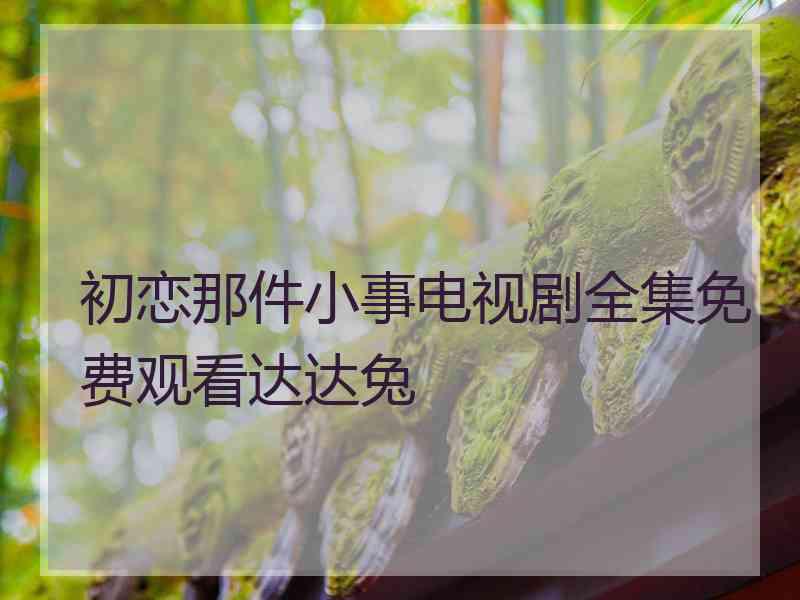 初恋那件小事电视剧全集免费观看达达兔
