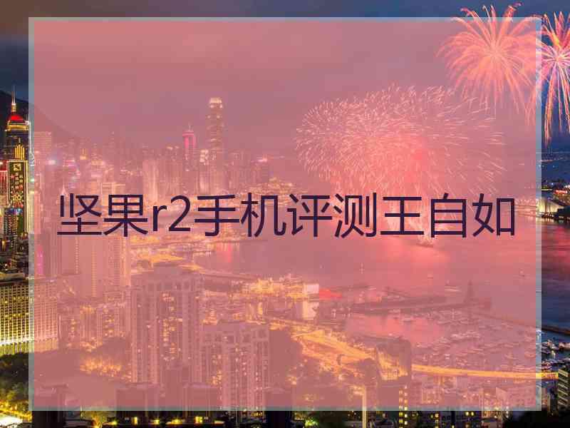 坚果r2手机评测王自如