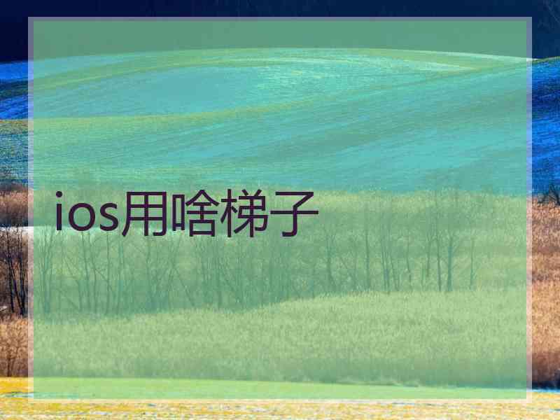 ios用啥梯子