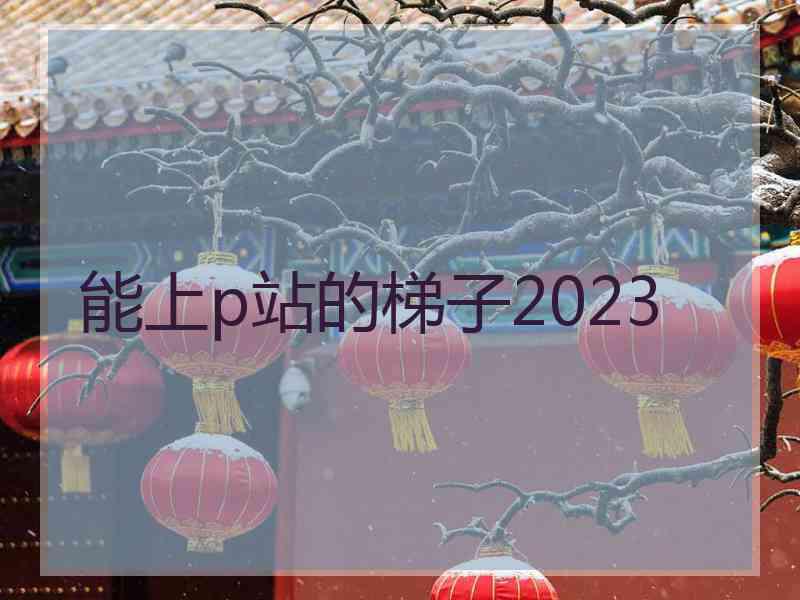 能上p站的梯子2023