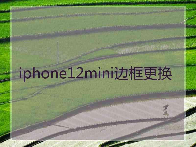 iphone12mini边框更换