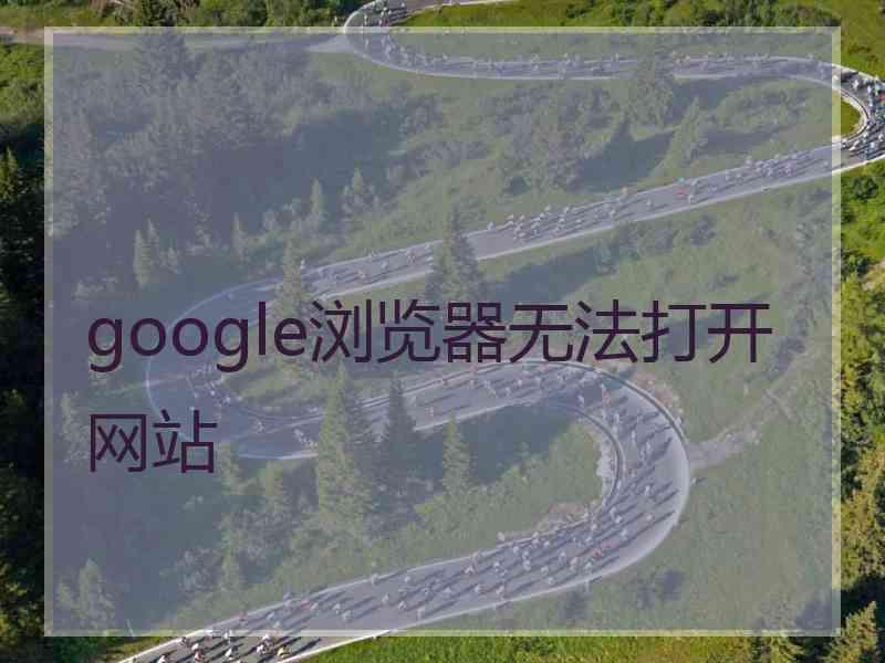 google浏览器无法打开网站