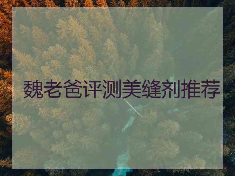 魏老爸评测美缝剂推荐
