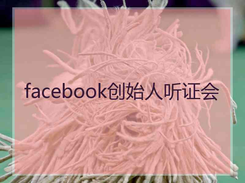 facebook创始人听证会