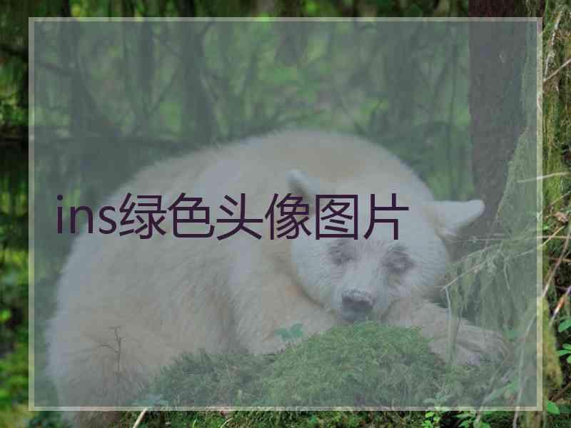 ins绿色头像图片