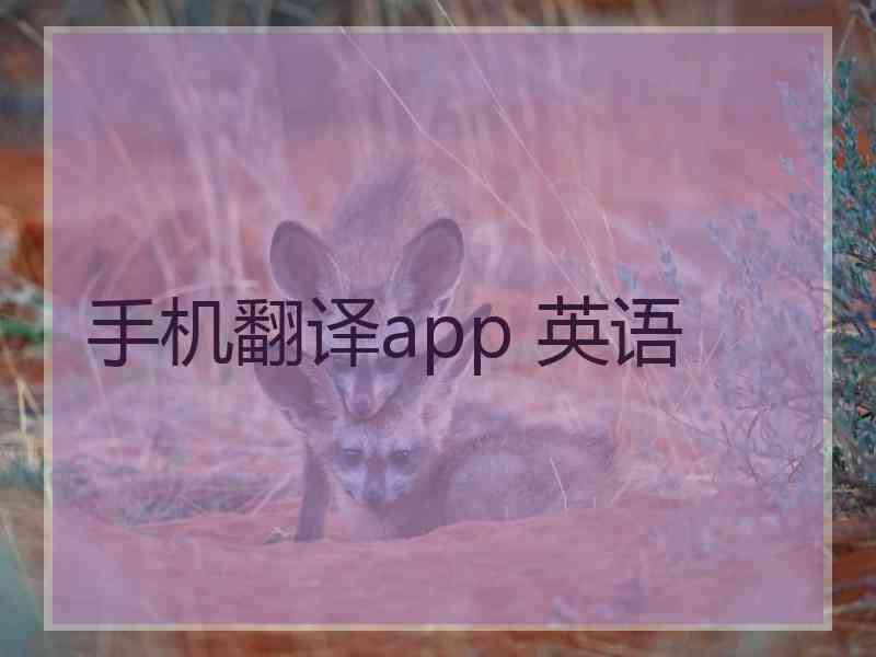 手机翻译app 英语