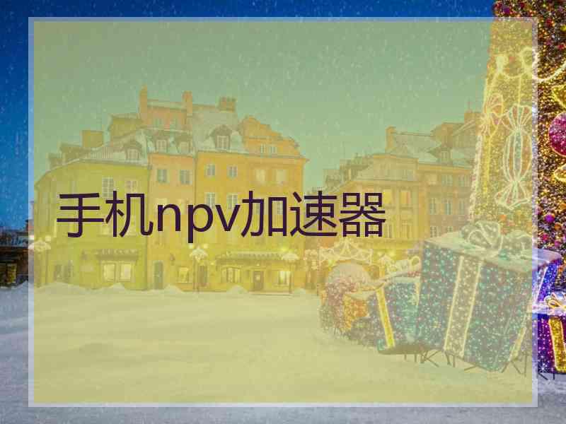 手机npv加速器