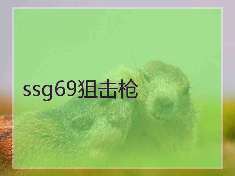ssg69狙击枪