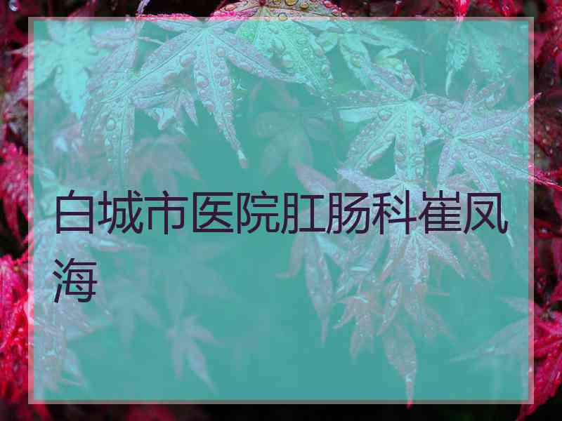 白城市医院肛肠科崔凤海