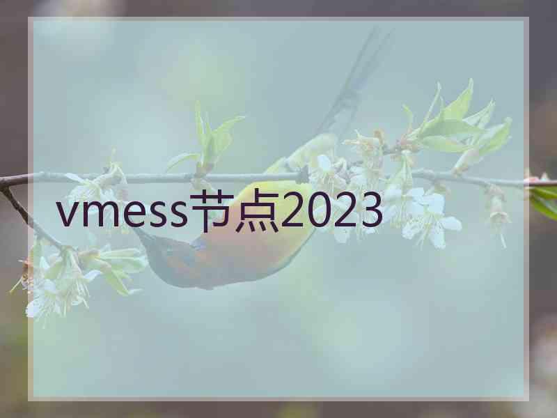 vmess节点2023