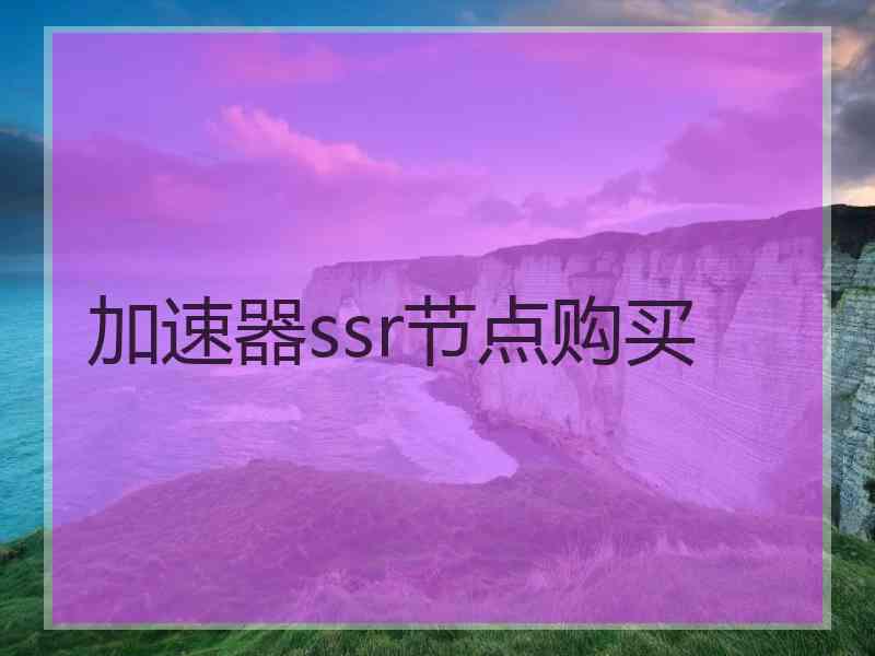 加速器ssr节点购买