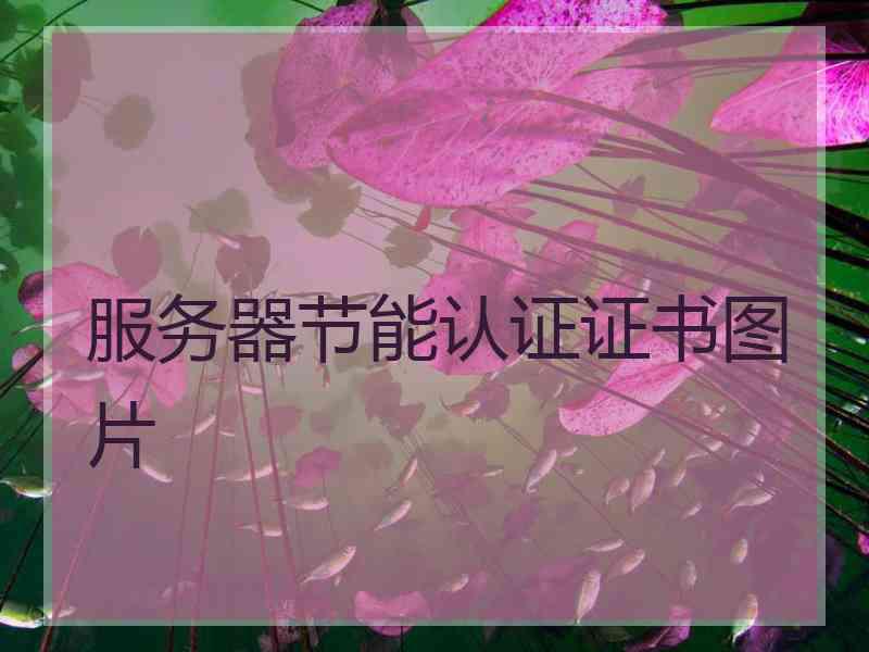 服务器节能认证证书图片