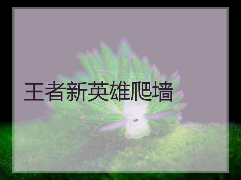 王者新英雄爬墙