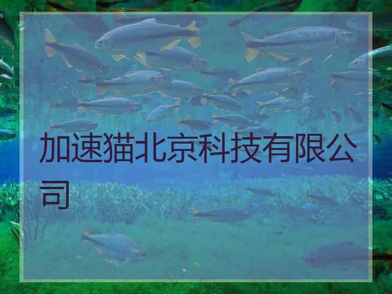 加速猫北京科技有限公司