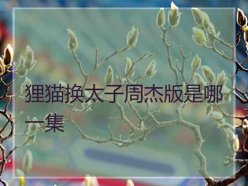 狸猫换太子周杰版是哪一集