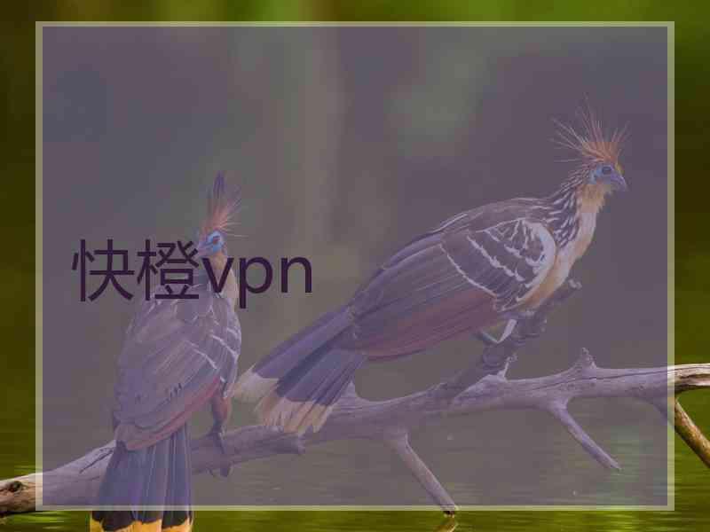 快橙vpn
