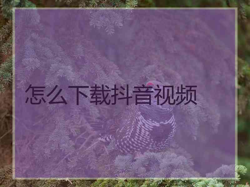 怎么下载抖音视频