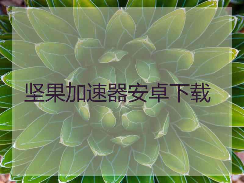 坚果加速器安卓下载
