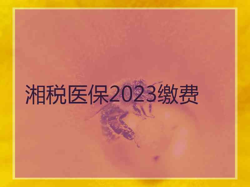 湘税医保2023缴费