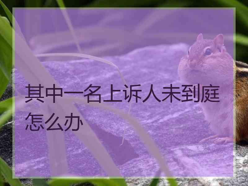 其中一名上诉人未到庭怎么办