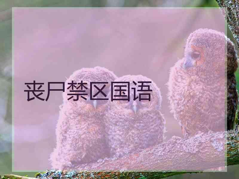 丧尸禁区国语