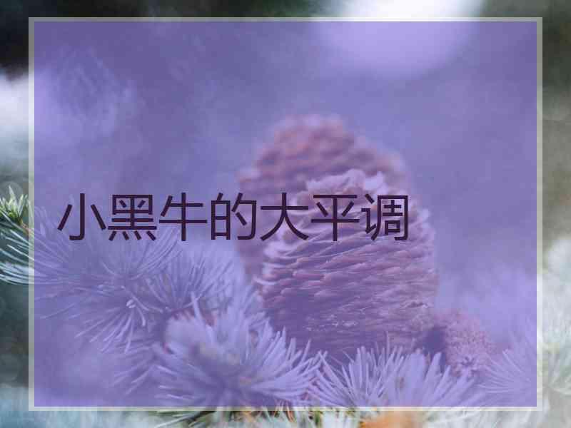 小黑牛的大平调
