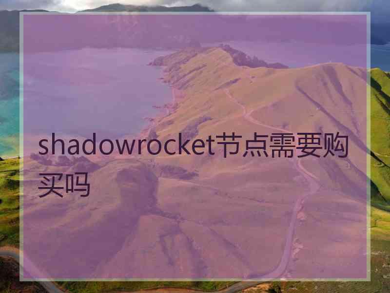 shadowrocket节点需要购买吗