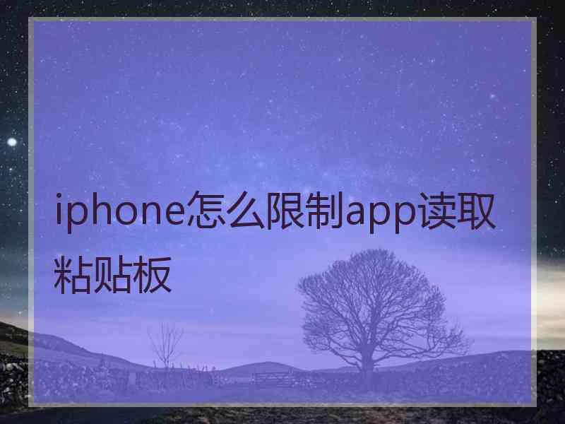 iphone怎么限制app读取粘贴板