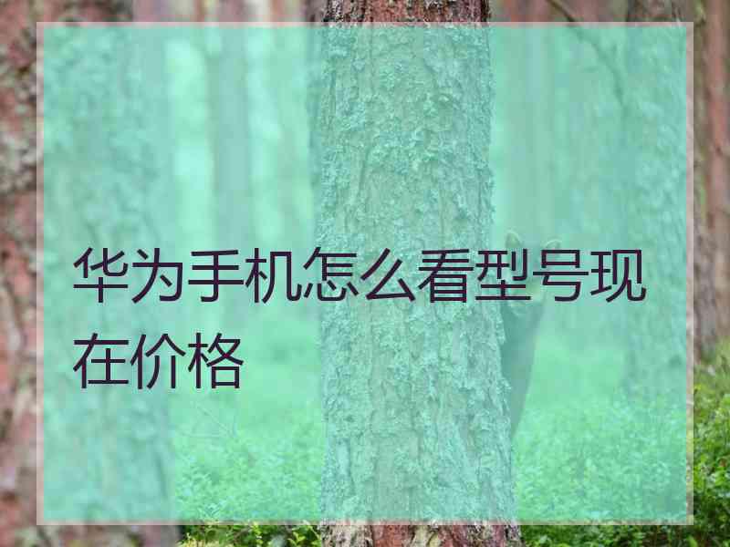 华为手机怎么看型号现在价格