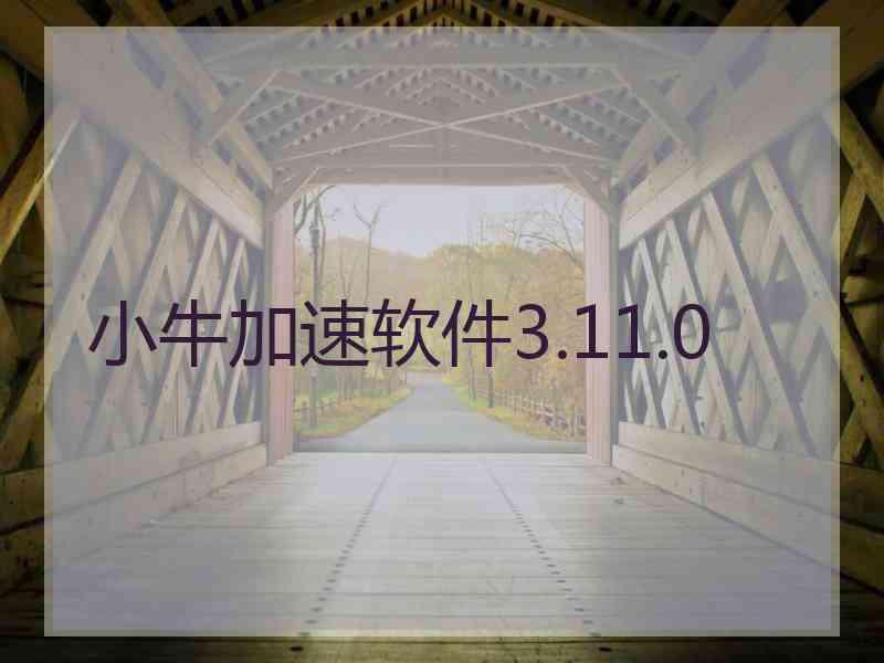 小牛加速软件3.11.0