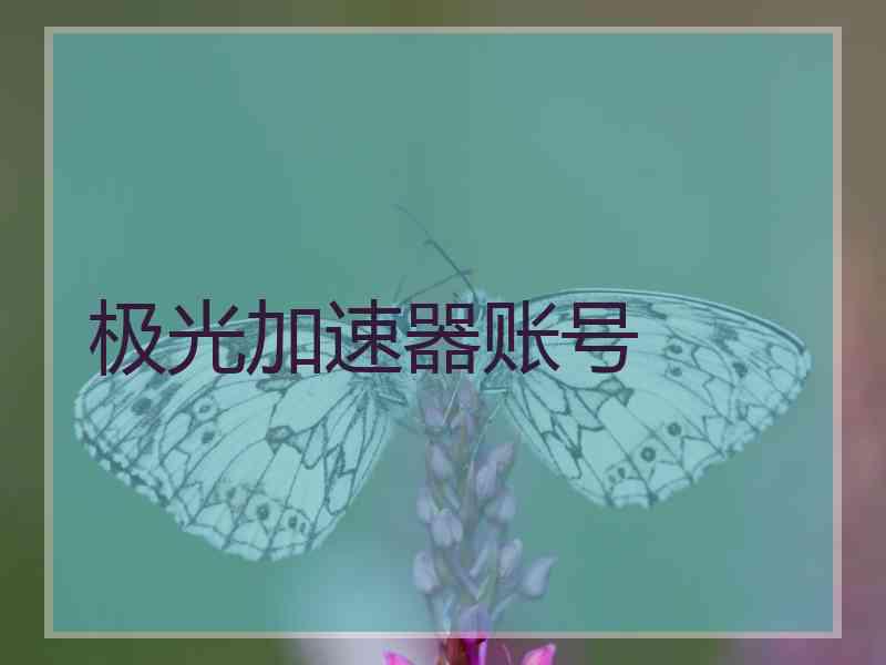 极光加速器账号