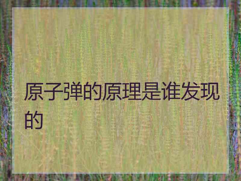 原子弹的原理是谁发现的