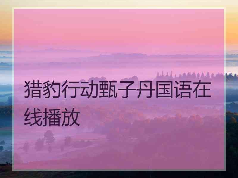 猎豹行动甄子丹国语在线播放