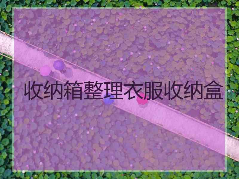收纳箱整理衣服收纳盒