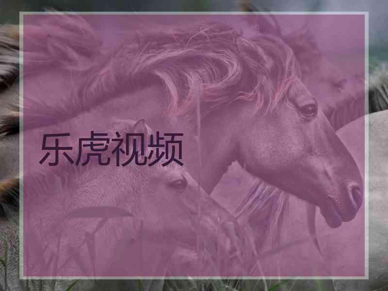 乐虎视频