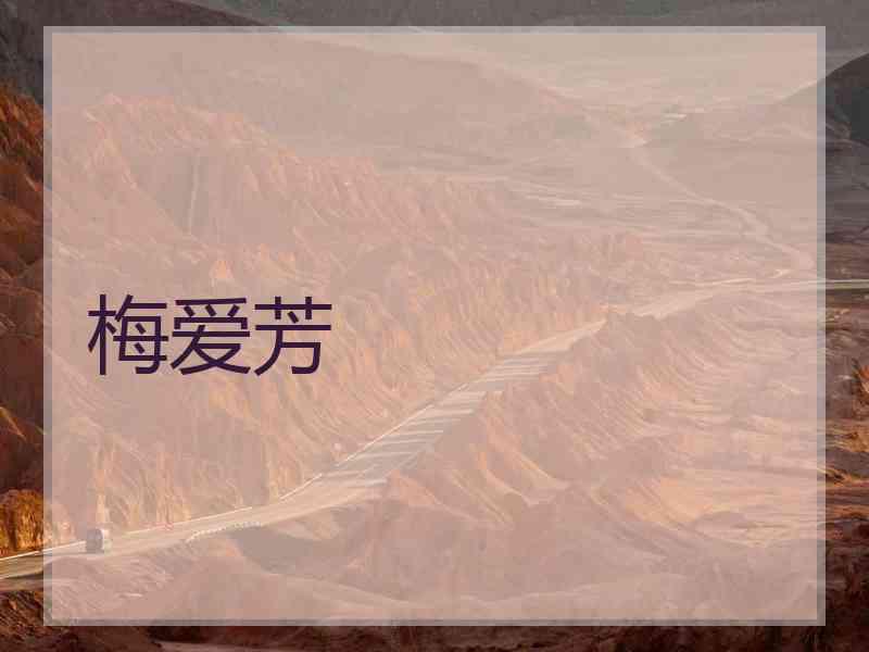 梅爱芳