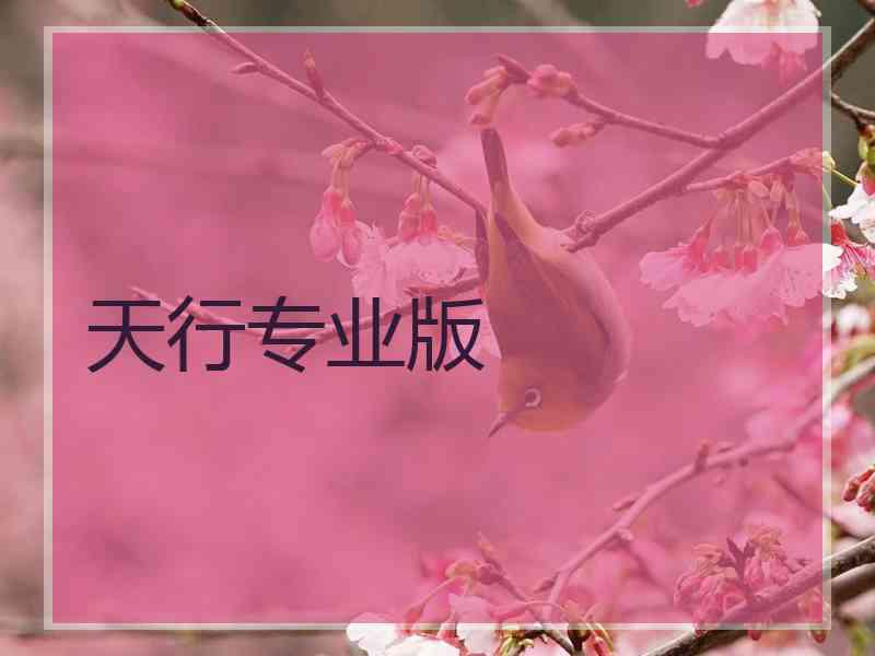 天行专业版